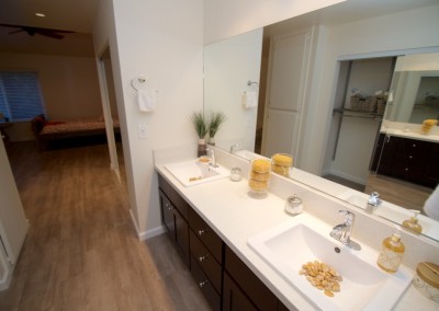 Double Sink Vanity